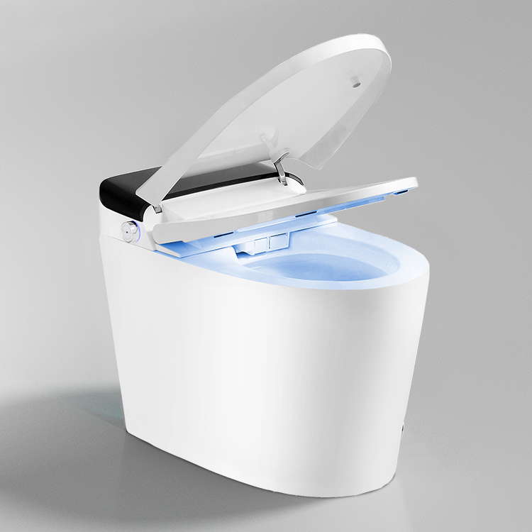 สุขภัณฑ์ห้องน้ำอัตโนมัติแบบไร้ - Home Bathroom Ware บทวิจารณ์และราคา